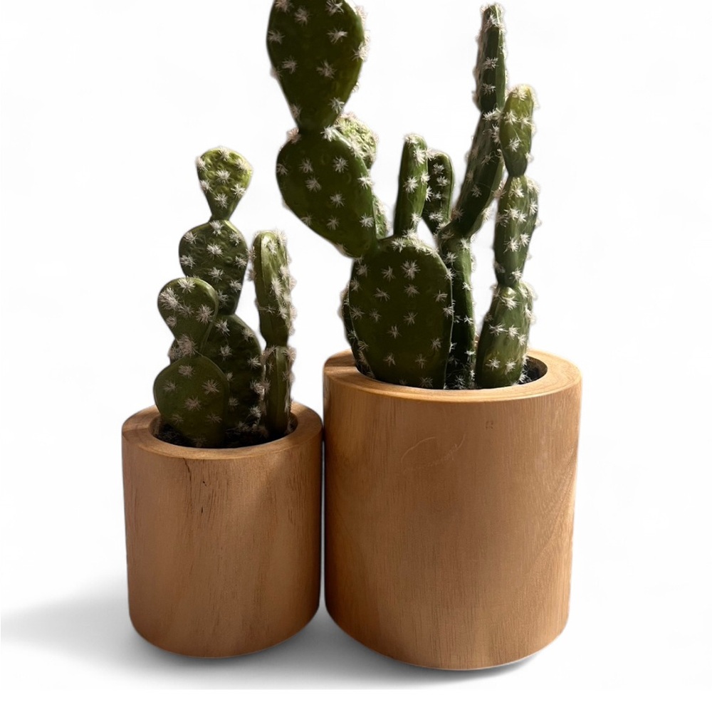 Fake Cactus In Natural Wood Planter Set